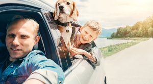 Man met kind en hond in de auto